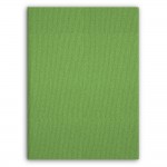 Ежедневник датированный 14,5х20,5 см CAYENNE FLEX Светло-зеленый