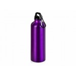 Бутылка «Hip M» с карабином, 770 мл пурпурный