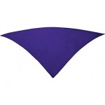 Шейный платок FESTERO треугольной формы лиловый