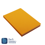 Ежедневник Bplanner.02 orange