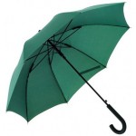Зонт-трость "Wind" темно-зеленый