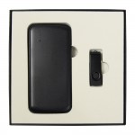 Набор подарочный Solution Superior Duo (портативное зарядное «Universal», Флеш накопитель Twister 16GB )