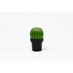 МЕЛЬНИЦА ДЛЯ СПЕЦИЙ Tasty Cactus