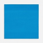 Лейбл тканевый Epsilon, L, голубой