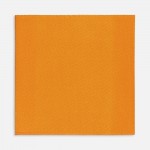 Лейбл тканевый Epsilon, L, оранжевый