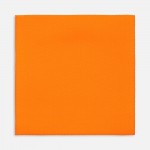 Лейбл тканевый Epsilon, L, оранжевый неон