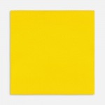 Лейбл тканевый Epsilon, L, желтый