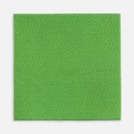 Лейбл тканевый Epsilon, L, зеленый (оливковый)