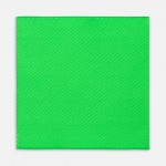 Лейбл тканевый Epsilon, L, зеленый неон