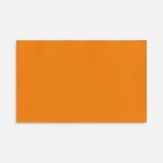 Лейбл тканевый Epsilon, XL, оранжевый