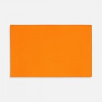 Лейбл тканевый Epsilon, XL, оранжевый неон