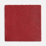 Лейбл кожаный Pasek, L, красный