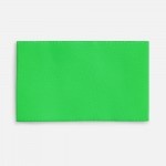 Лейбл тканевый Epsilon, M, зеленый неон