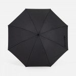 Зонт-трость Rainzee, черный