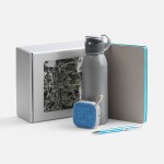 Набор Flexpen Flow, серый с бирюзовым