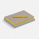 Набор Flexpen, серебристо-желтый
