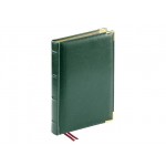 Ежедневник полудатированный А5 «Boss» зеленый
