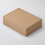 Коробка подарочная «Zand», XL крафт