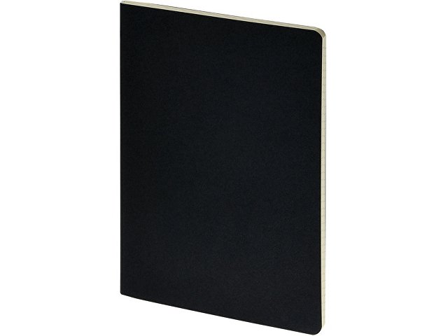 Бизнес-тетрадь А4 «Pragmatic»